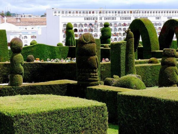 PAQUETE PASTO - Imagen 3