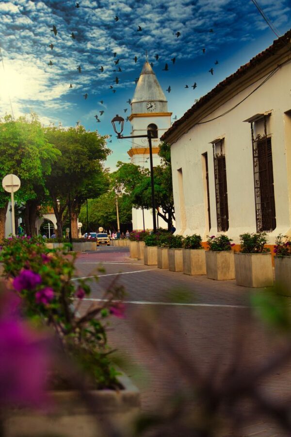 PAQUETE VALLEDUPAR