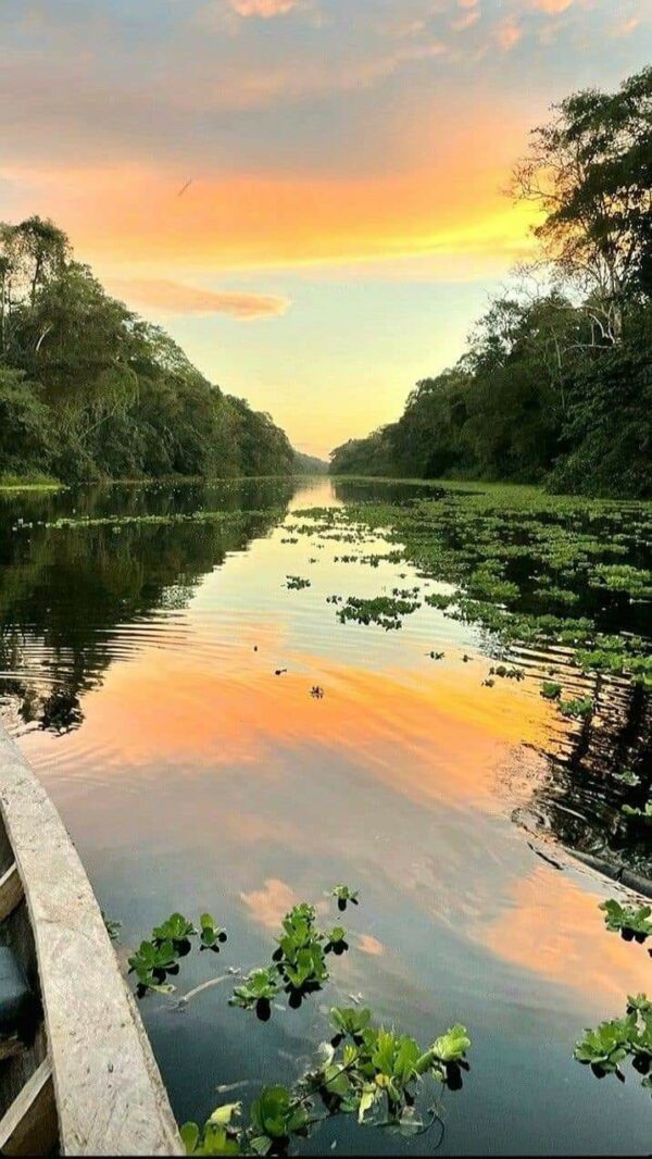 PAQUETE AMAZONAS - Imagen 6