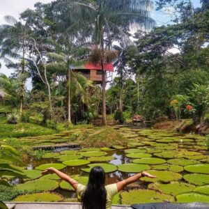 PAQUETE AMAZONAS