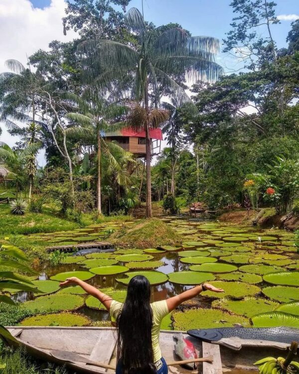 PAQUETE AMAZONAS