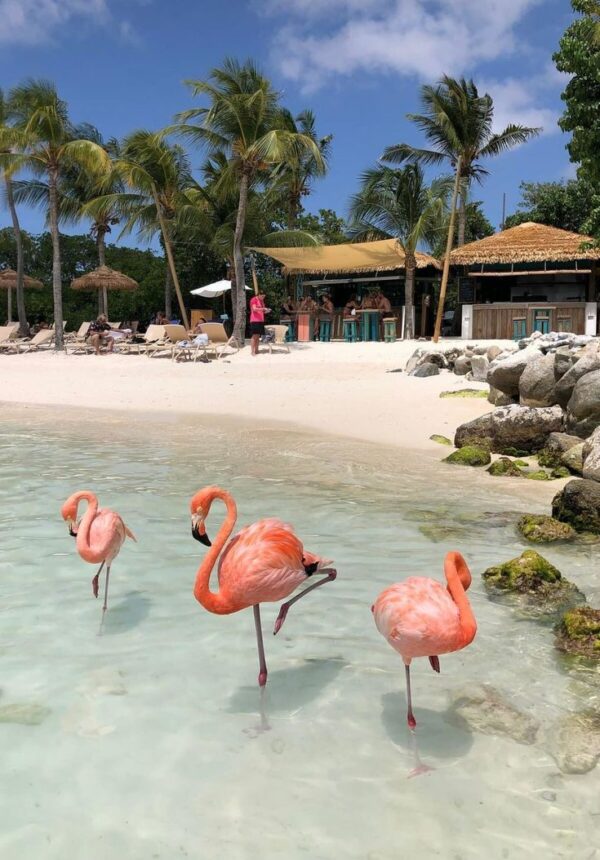 PAQUETE ARUBA - Imagen 4