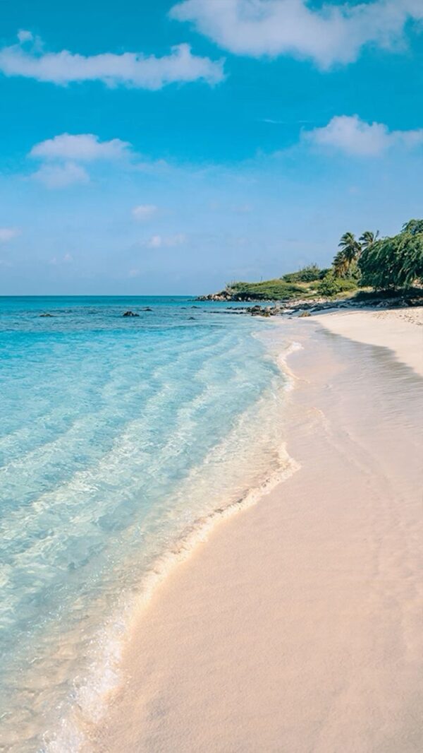 PAQUETE ARUBA - Imagen 2