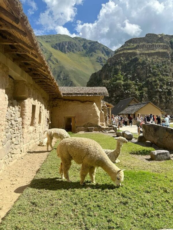 PAQUETE PERU - Imagen 3