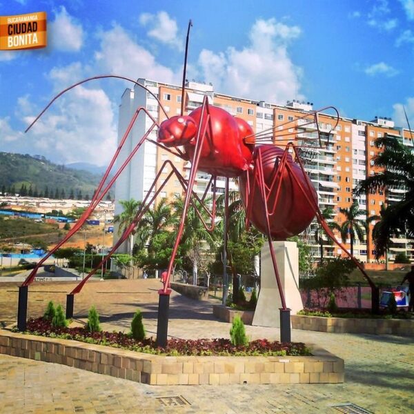 PAQUETE BUCARAMANGA - Imagen 4