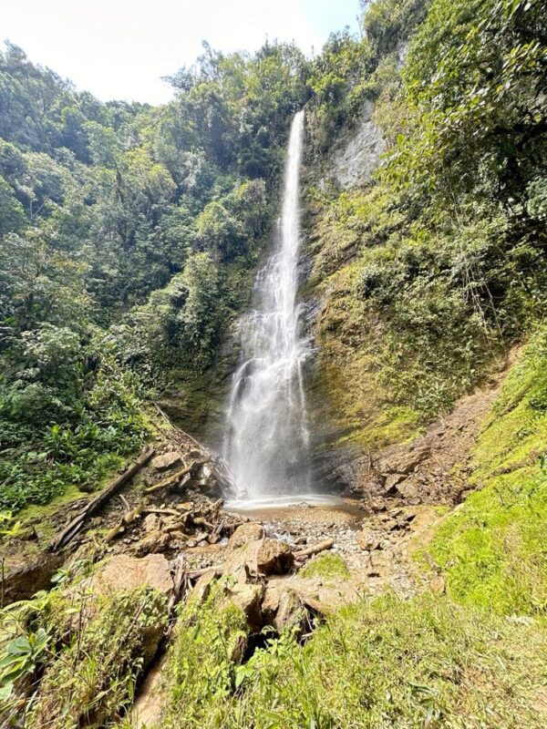PAQUETE VALLE DEL CAUCA - Imagen 2