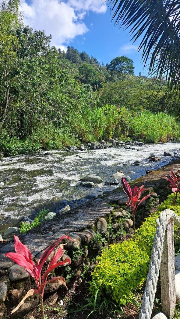 PAQUETE VALLE DEL CAUCA - Imagen 3