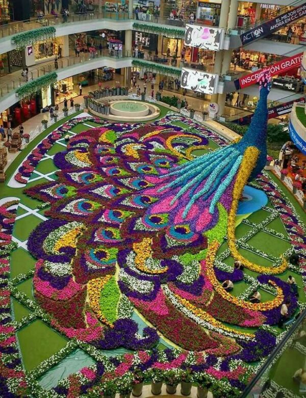 MEDELLIN (FERIA DE LAS FLORES) - Imagen 7