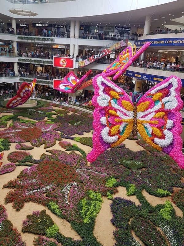 MEDELLIN (FERIA DE LAS FLORES) - Imagen 8