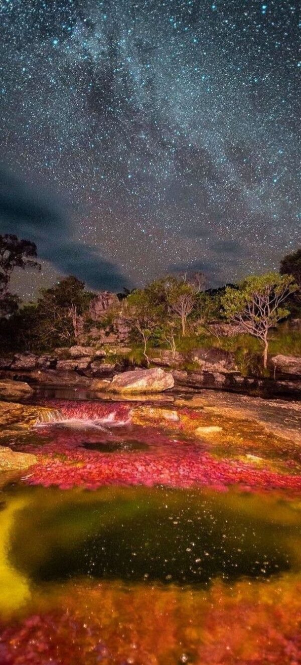 LA MACARENA (CAÑOS CRISTALES) - Imagen 3
