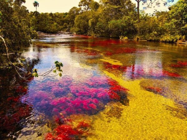 LA MACARENA (CAÑOS CRISTALES) - Imagen 2