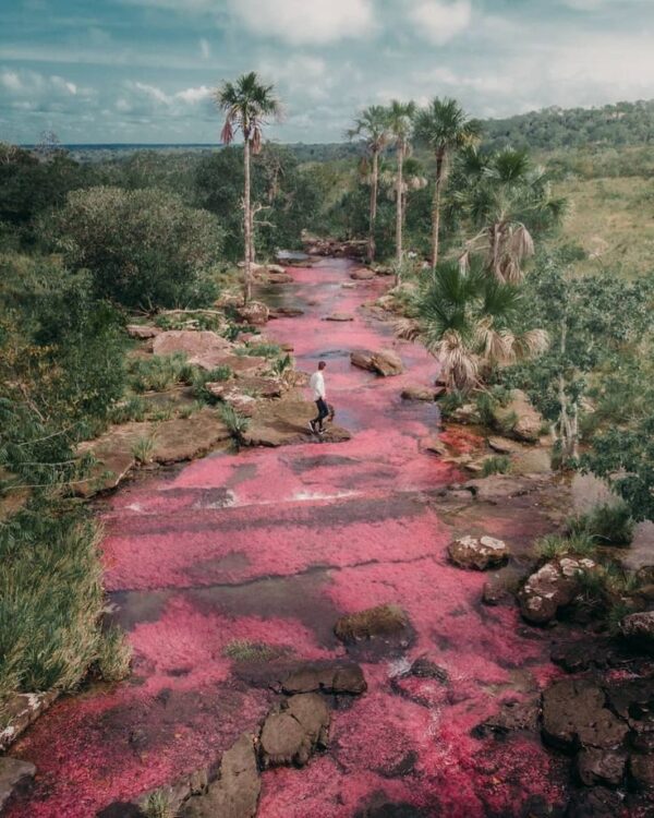 LA MACARENA (CAÑOS CRISTALES) - Imagen 5