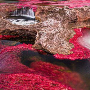 LA MACARENA (CAÑOS CRISTALES)
