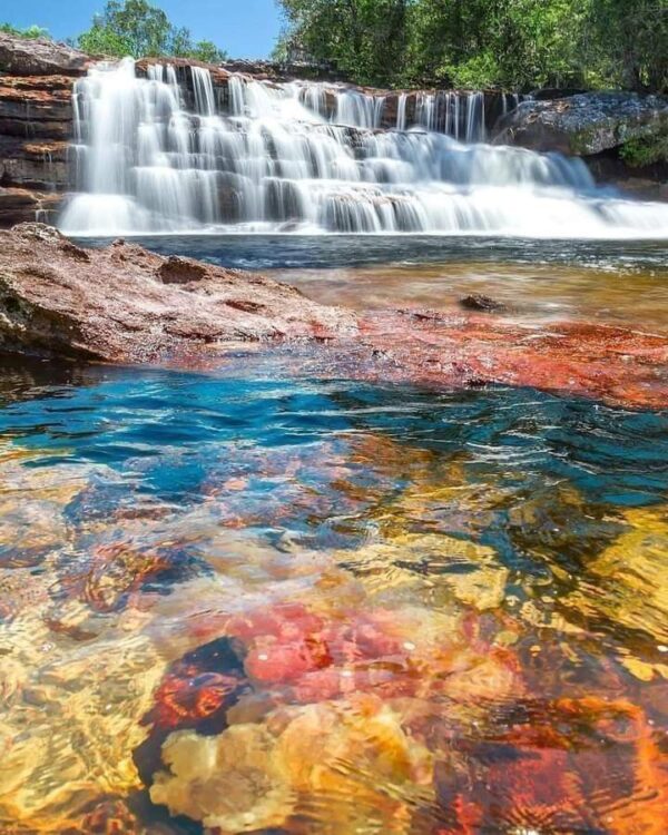 LA MACARENA (CAÑOS CRISTALES) - Imagen 4