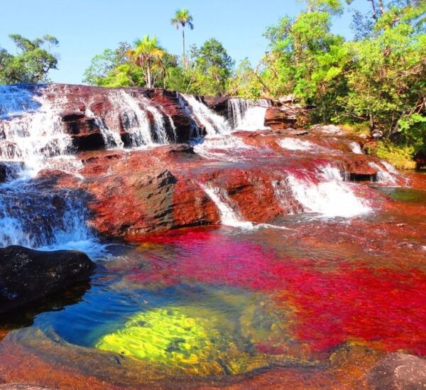 LA MACARENA (CAÑOS CRISTALES) - Imagen 7