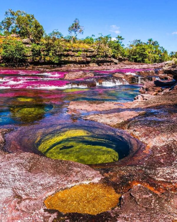 LA MACARENA (CAÑOS CRISTALES) - Imagen 6