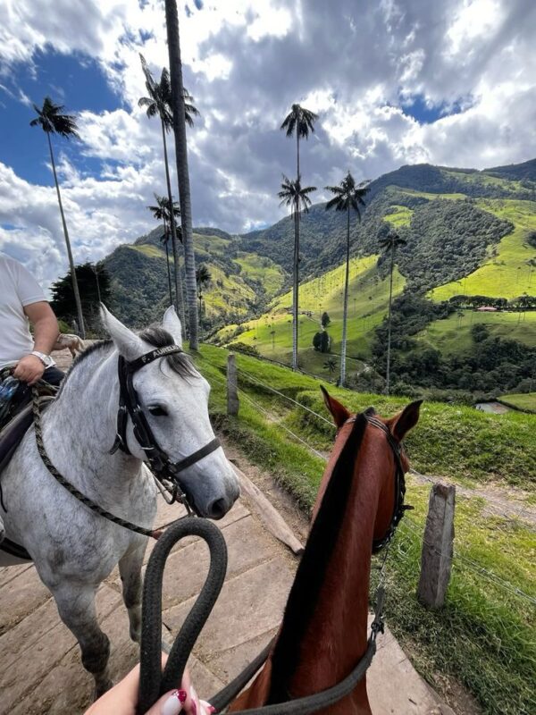 ARMENIA (EJE CAFETERO) - Imagen 3